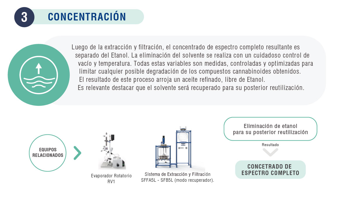 3-proceso-concentracion-cannabis