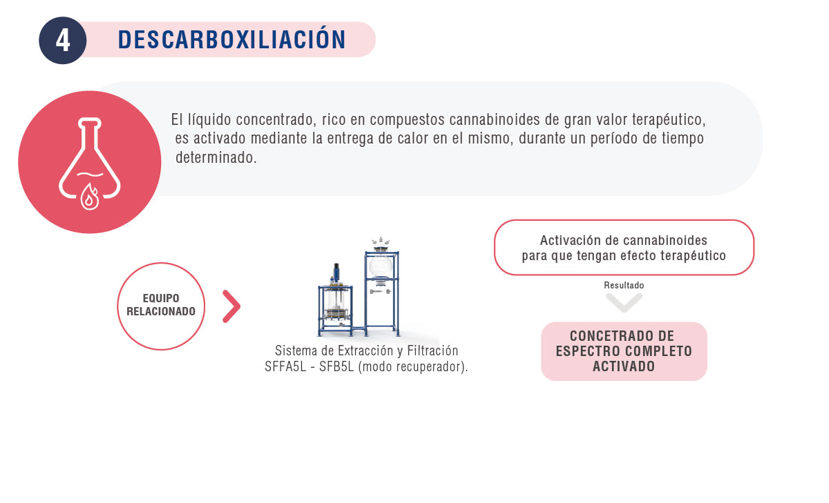 4-proceso-descarboxiliacion-cannabis