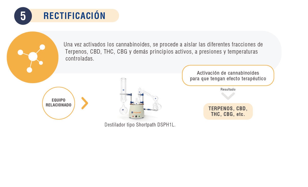 5-proceso-rectificacion-cannabis